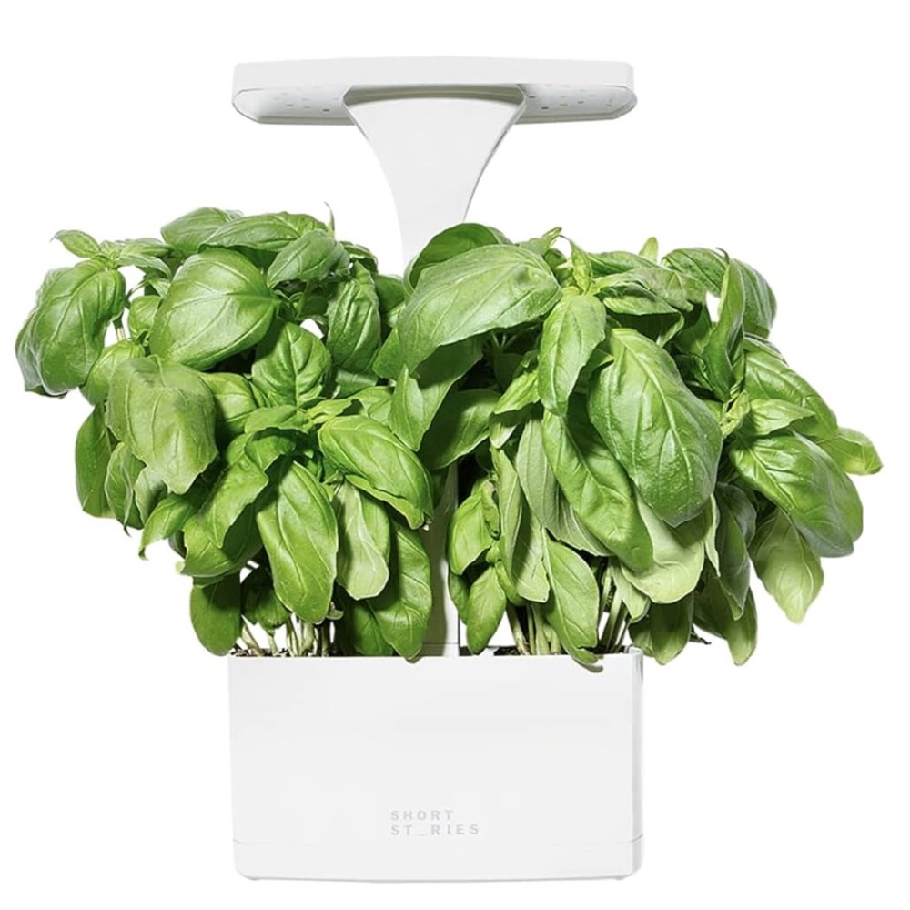 Short St_ries LED Indoor Planter.